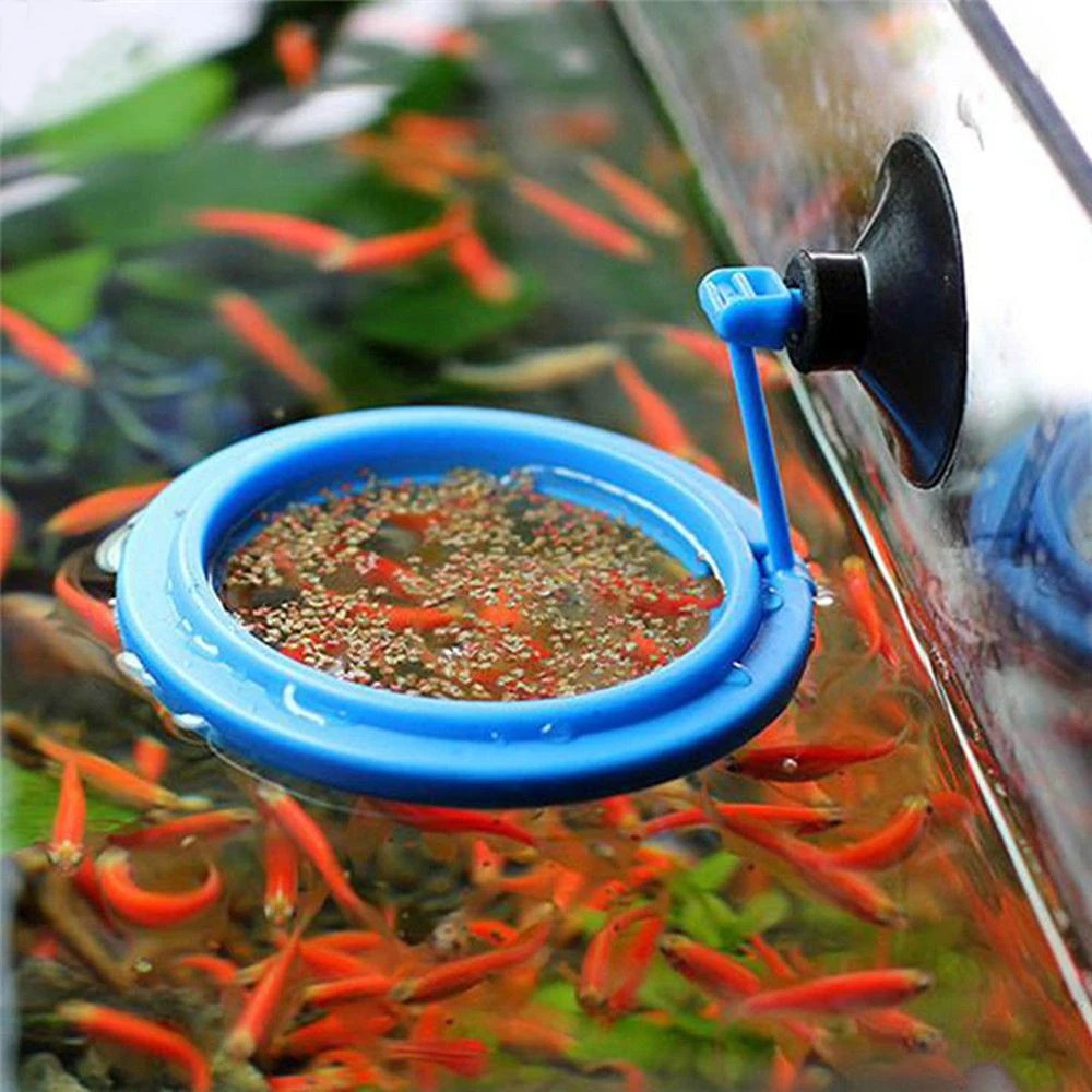 Aquarium Plant Nutrients - New Aquarium Feeding Ring Fish Tank