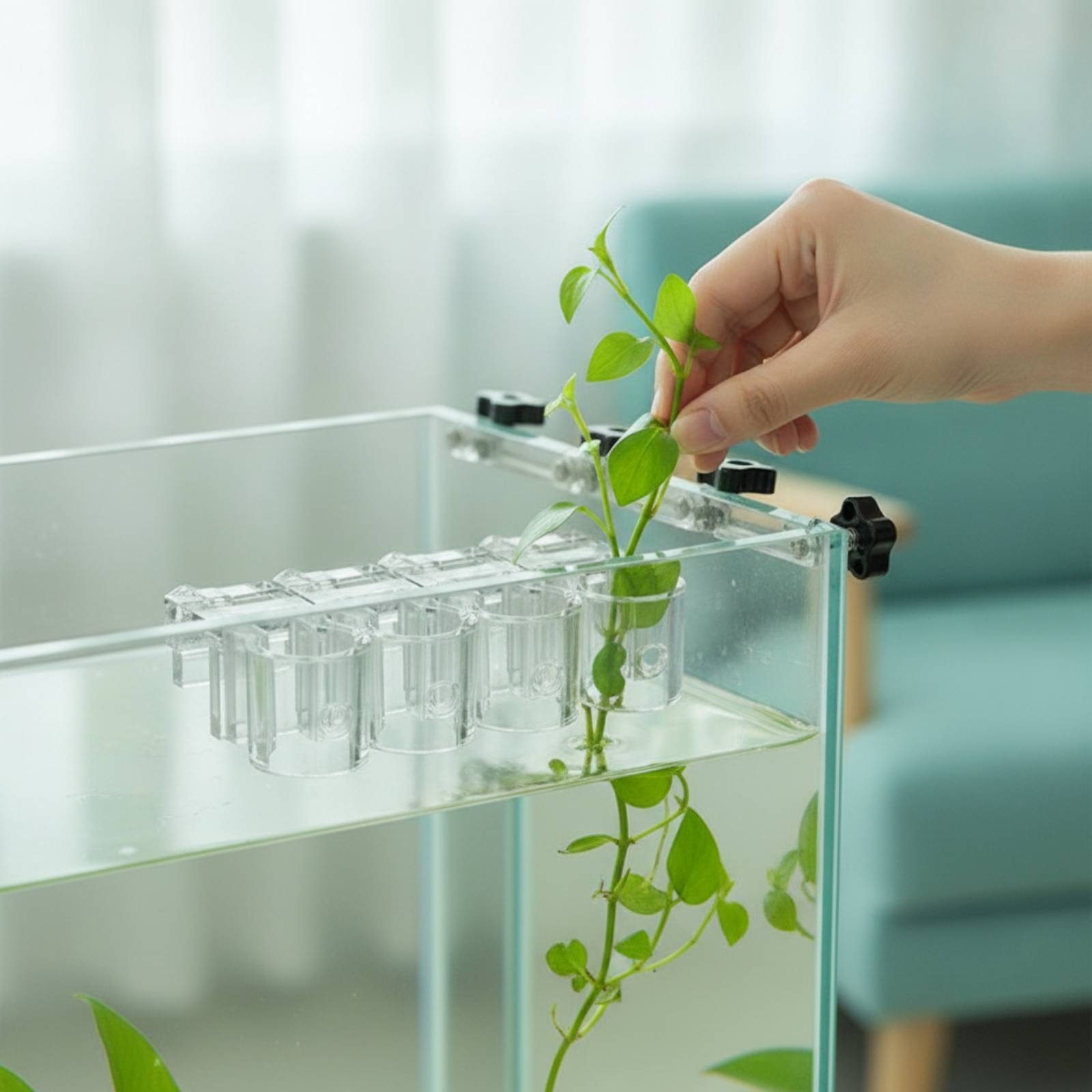 6 Pieces Aquarium Planter Clea - Aquarium Plant review and price