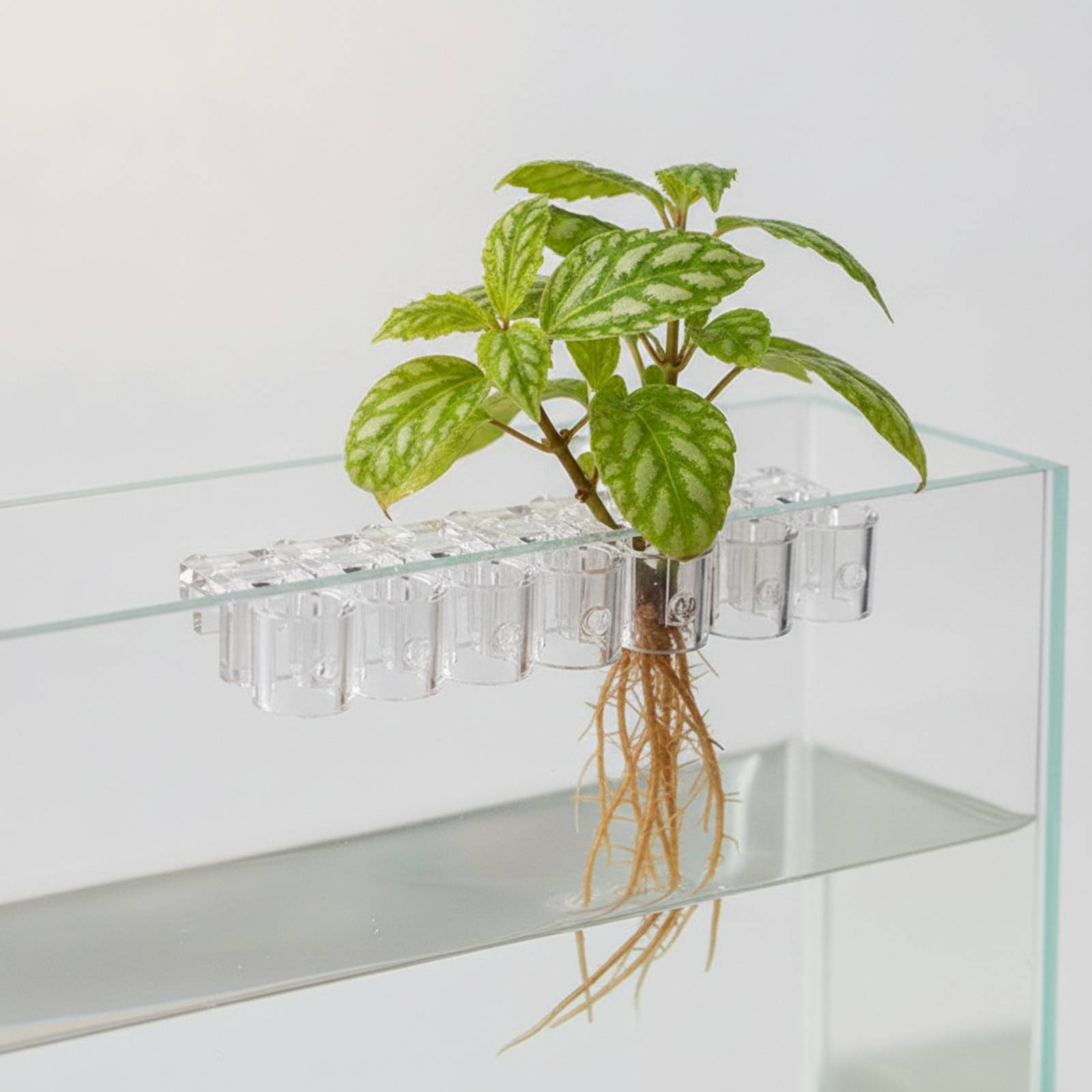 6 Pieces Aquarium Planter Clea - Aquarium Plant review and price