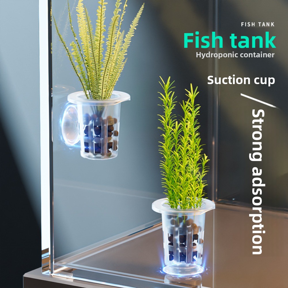 10Pcs Transparent Plant Hydrop - Aquarium Plant Growth review and price