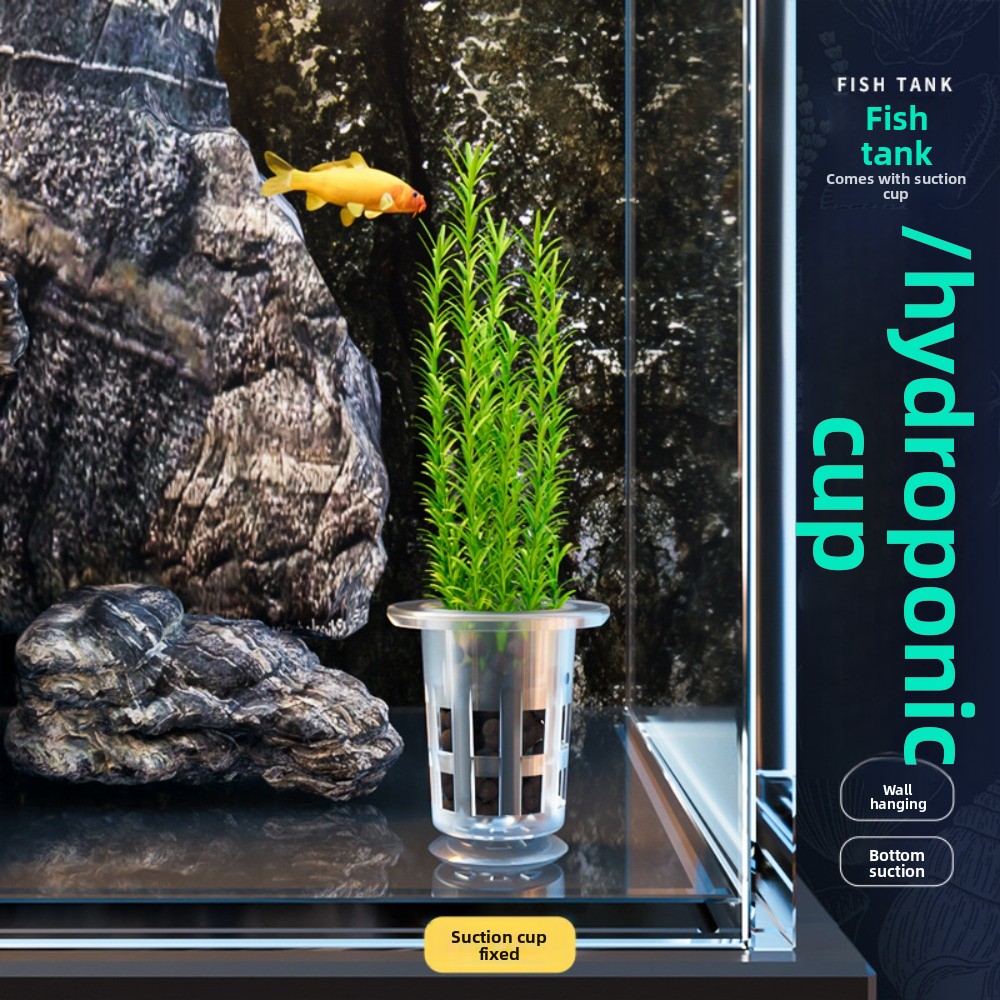 10Pcs Transparent Plant Hydrop - Aquarium Plant Growth review and price