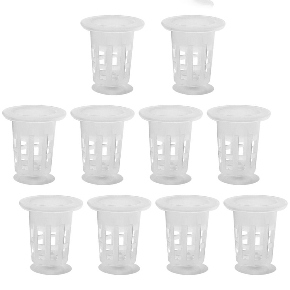 10Pcs Transparent Plant Hydrop - Aquarium Plant Growth review and price