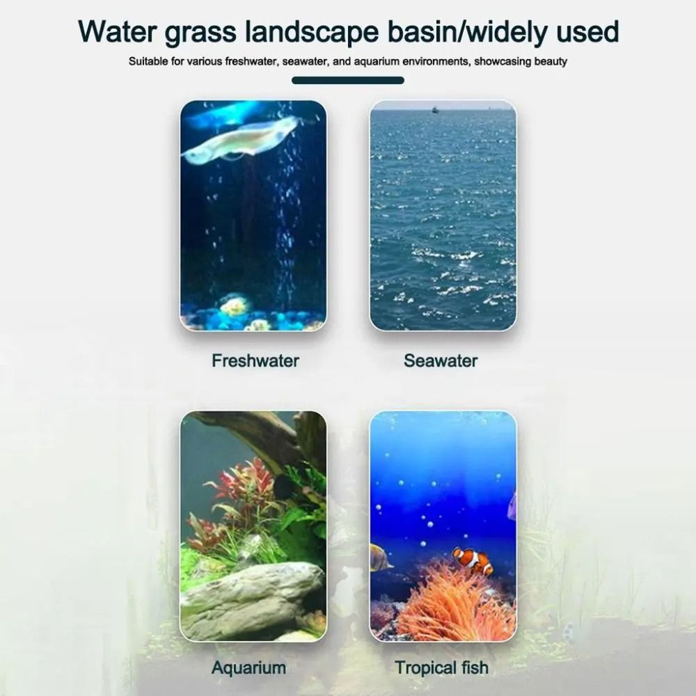 10Pcs Transparent Plant Hydrop - Aquarium Plant Growth review and price