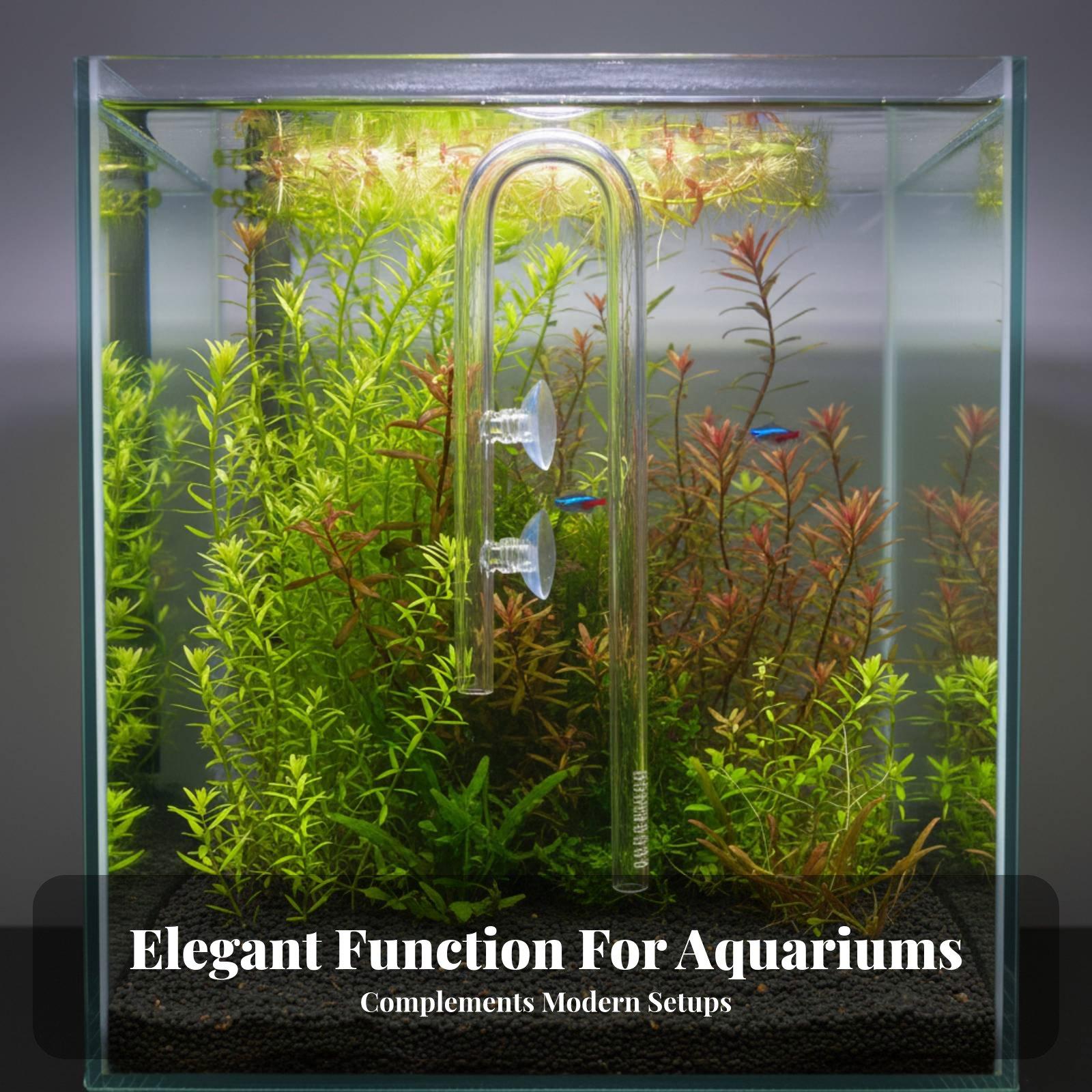 Elegant Aquatic Inflow Glass L - Aquarium Plant Nutrients review and price