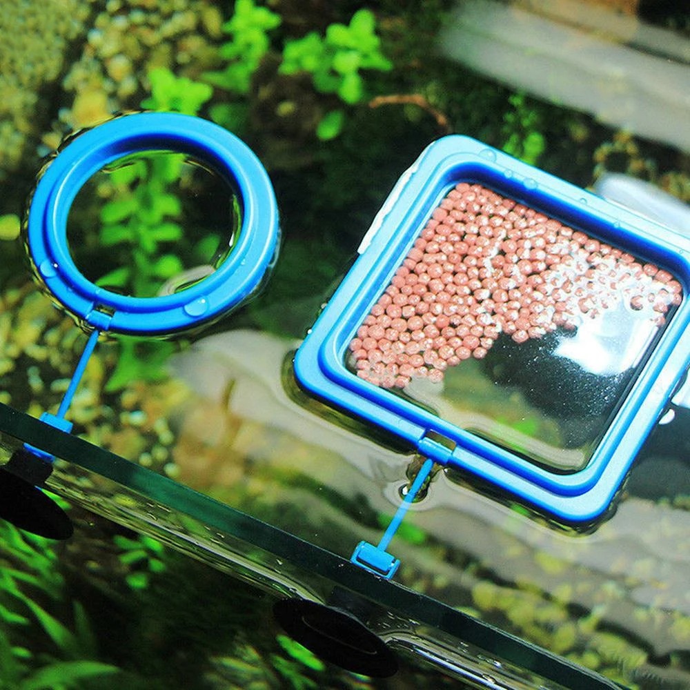 New Aquarium Feeding Ring Fish - Aquarium Plant Nutrients review and price