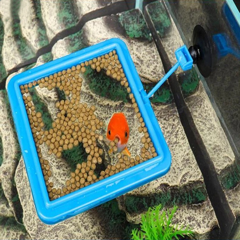 New Aquarium Feeding Ring Fish - Aquarium Plant Nutrients review and price