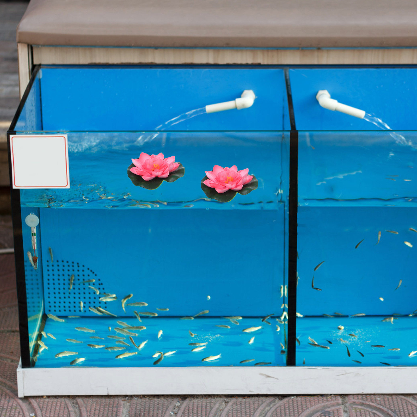 12Pcs Artificial Floating Wate - Aquarium Plant review and price