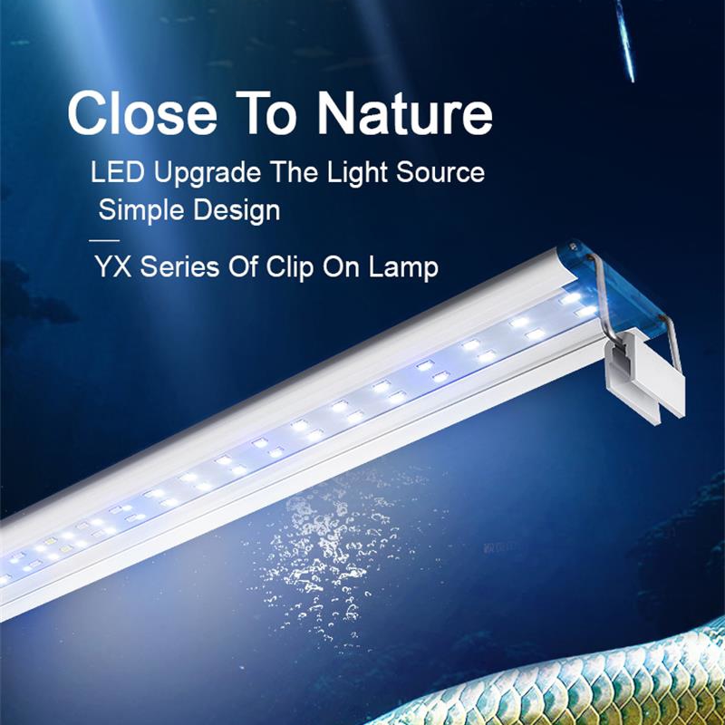 Extensible Waterproof Clip on  - Aquarium Plant Iron review and price