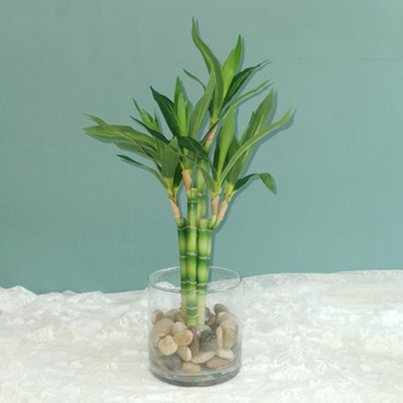 New 40cm Artificial Lucky Bamb - Aquarium Planted Tank review and price