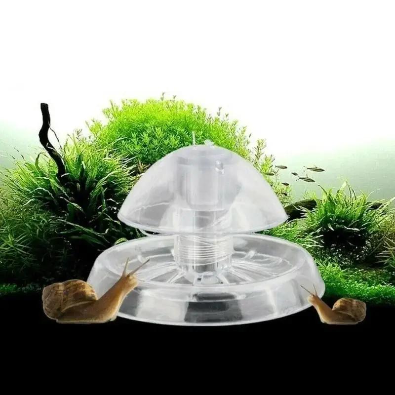 2026 New 6/8CM Clear Plastic S - Aquarium Planted Tank review and price