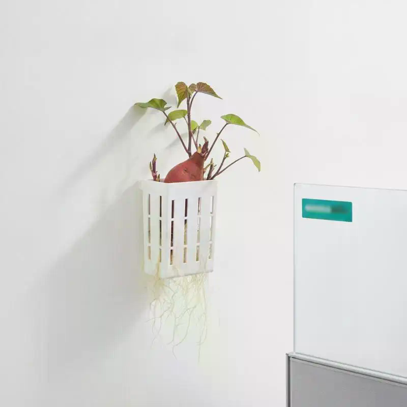 1Pcs Hydroponic Support Basket - Aquarium Planted Tank review and price