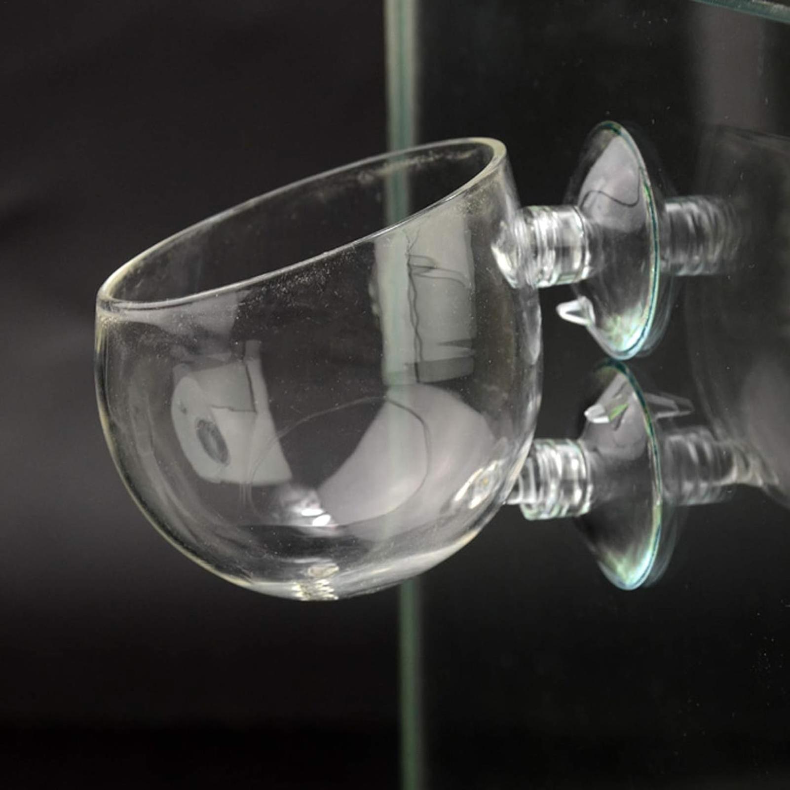 Aquarium Plant Holder Glass Aq - Planted Aquarium Maintenance review and price