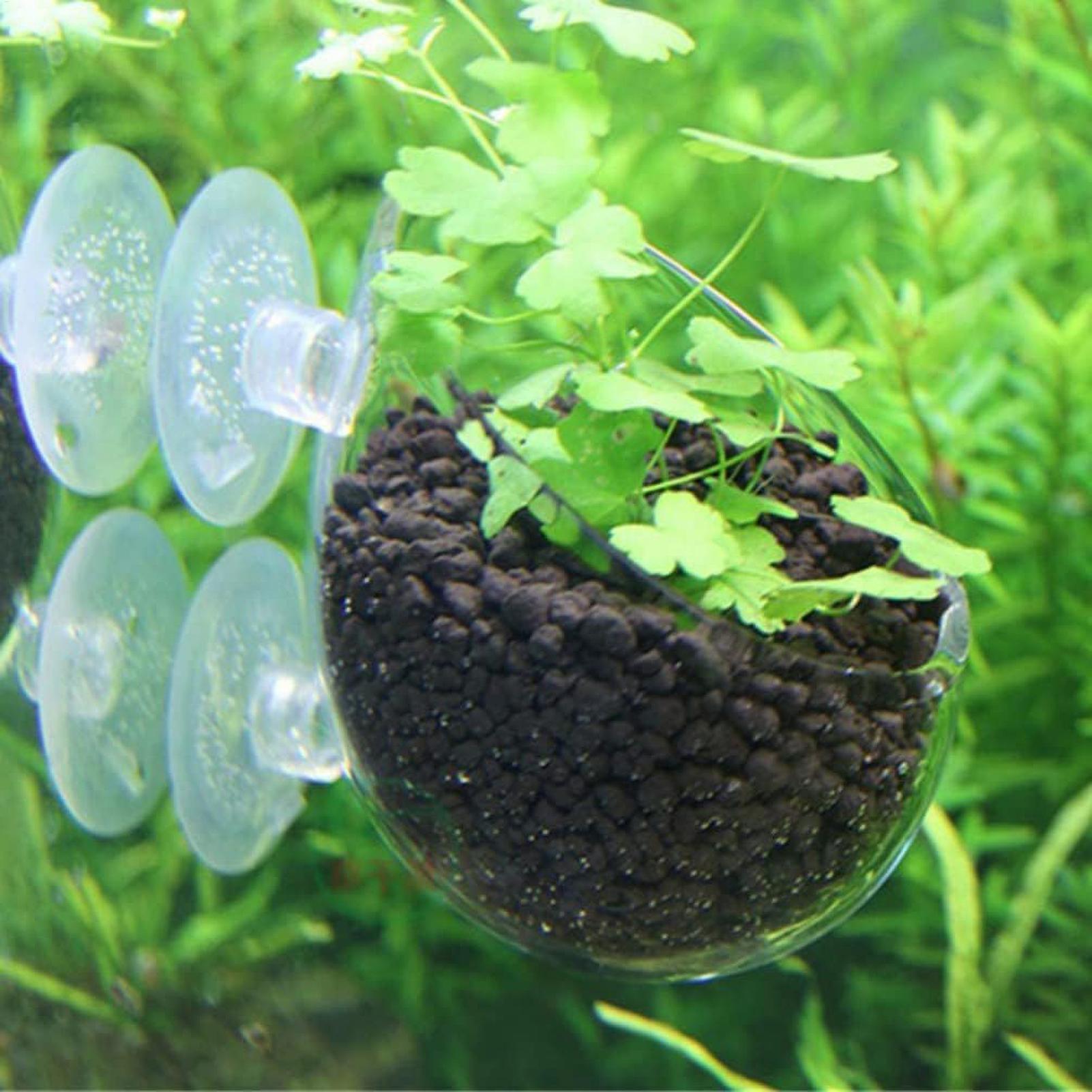 Aquarium Plant Holder Glass Aq - Planted Aquarium Maintenance review and price