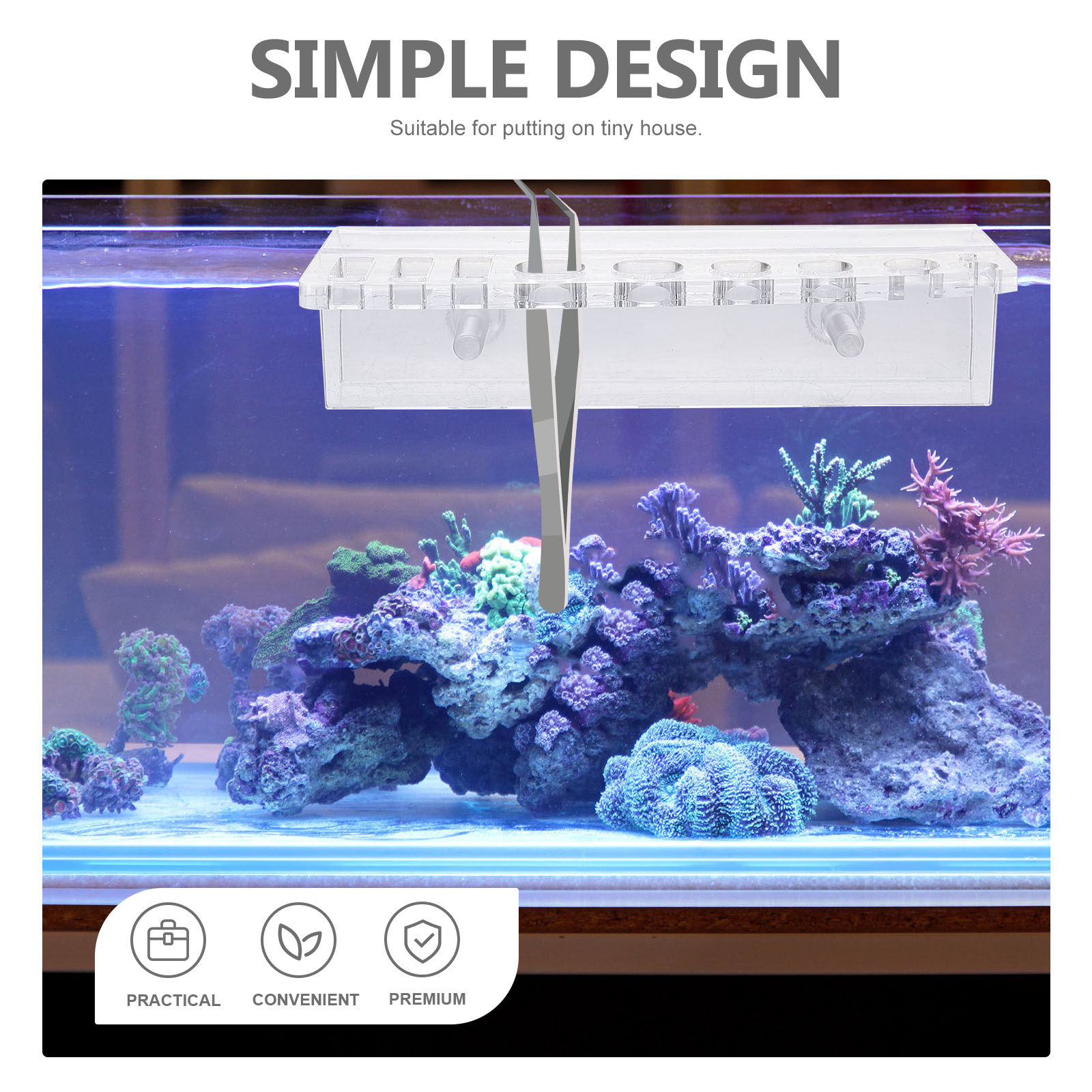 Aquarium Tool Holder Acrylic F - Planted Aquarium Maintenance review and price