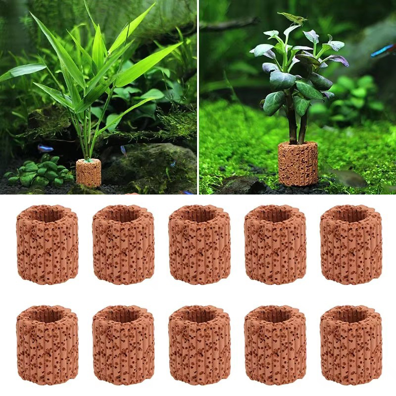 Aquatic Plant Fixed Ring for A - Aquarium Plant Growth review and price