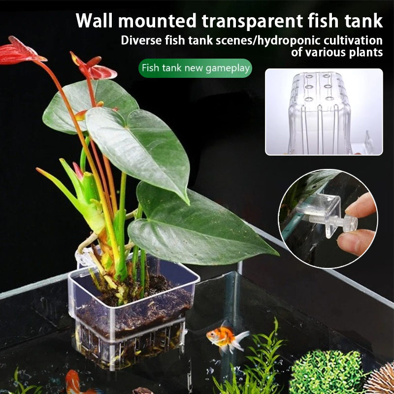 Aquarium Hanging Planter Cups  - Aquarium Plant Growth review and price