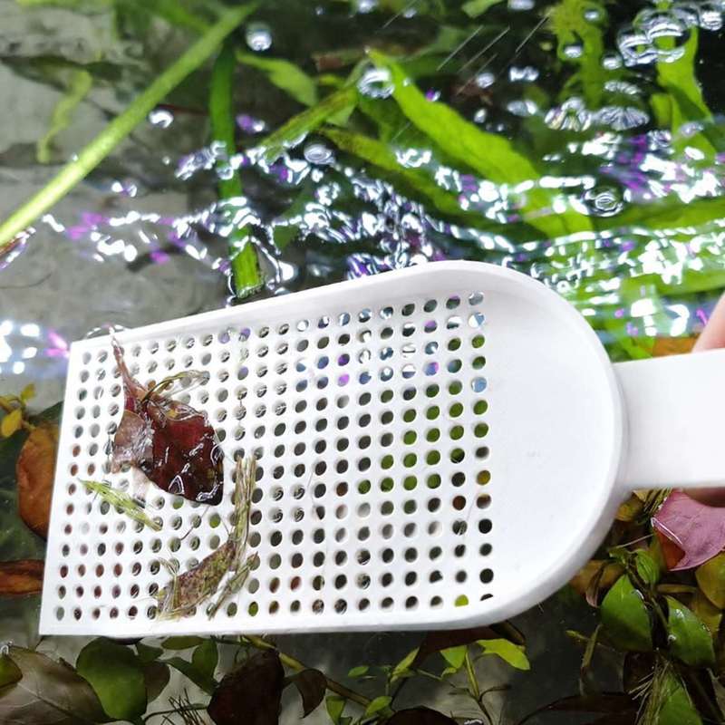 Aquarium Fish Tank Debris Scoo - Planted Aquarium Maintenance review and price
