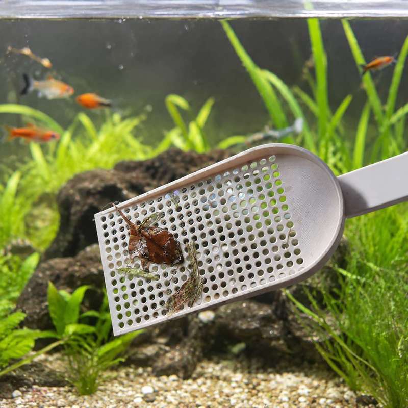 Aquarium Fish Tank Debris Scoo - Planted Aquarium Maintenance review and price