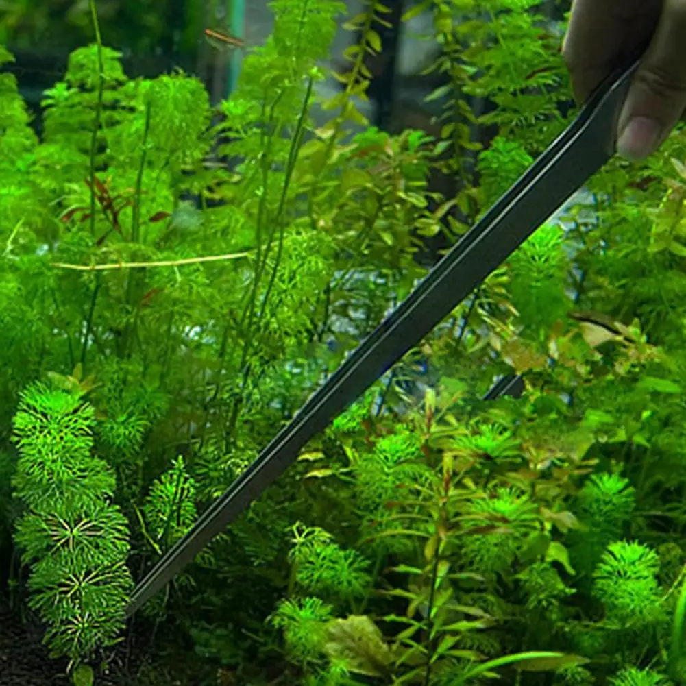Universal 27CM Aquarium Plant  - Planted Aquarium Maintenance review and price