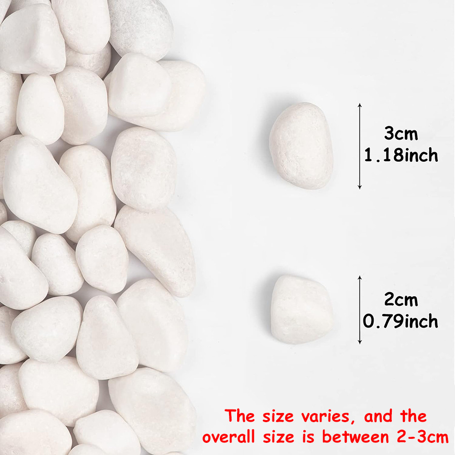 200/400g White High Polished N - Aquarium Planted Tank review and price