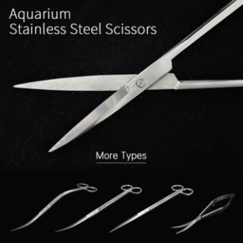 Week Aqua Stainless Steel Aqua - Aquarium Plant Iron review and price