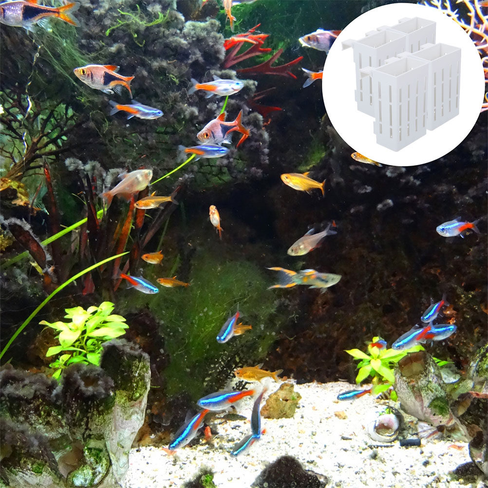 4Pcs Plastic Aquatic Plant Hol - Aquarium Plant Nutrients review and price