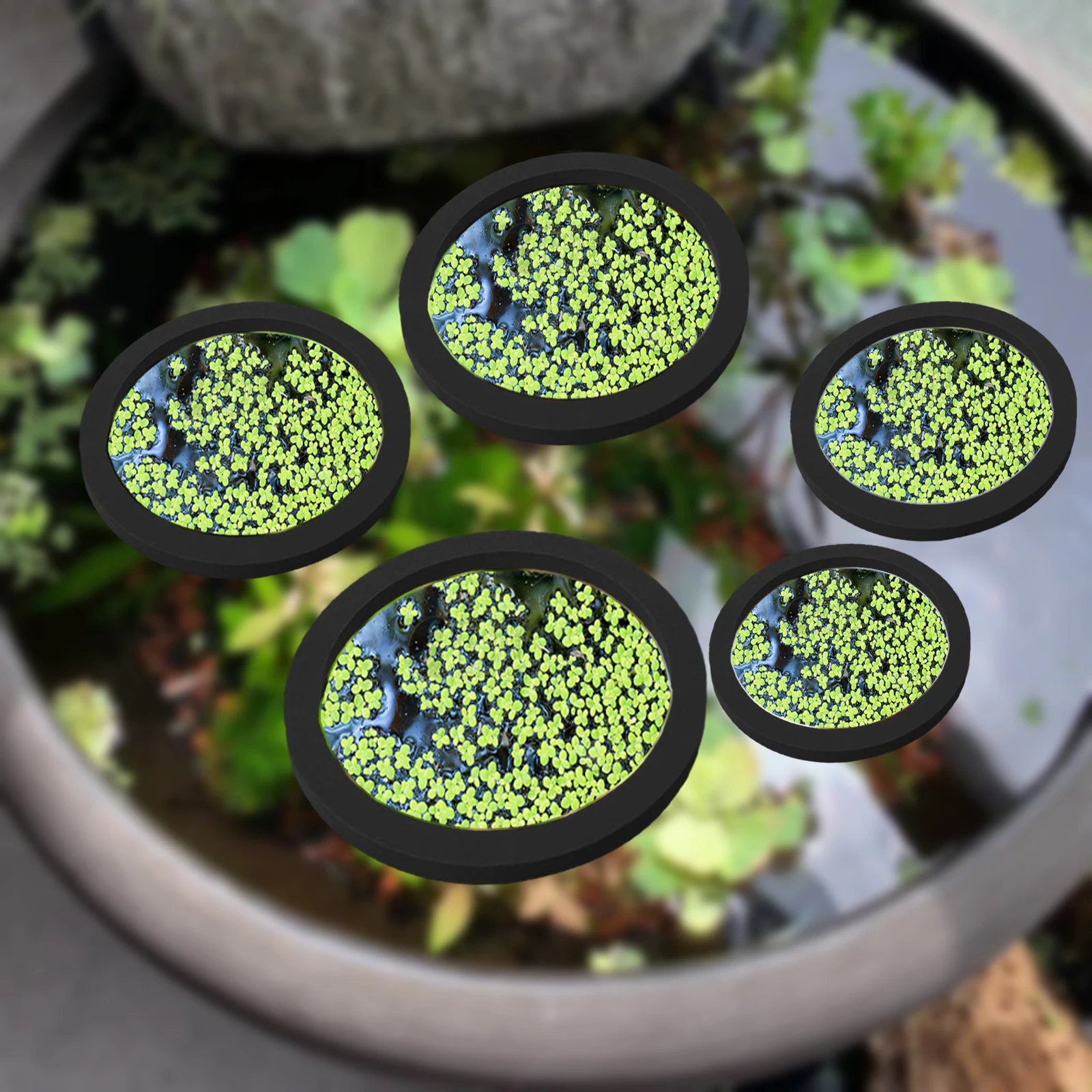 5Pcs EVA Fish Feeding Ring Aqu - Aquarium Planted Tank review and price