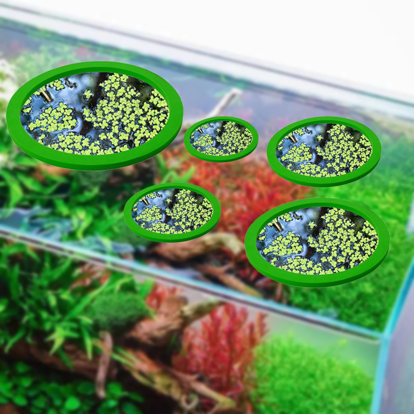 5Pcs EVA Fish Feeding Ring Aqu - Aquarium Planted Tank review and price