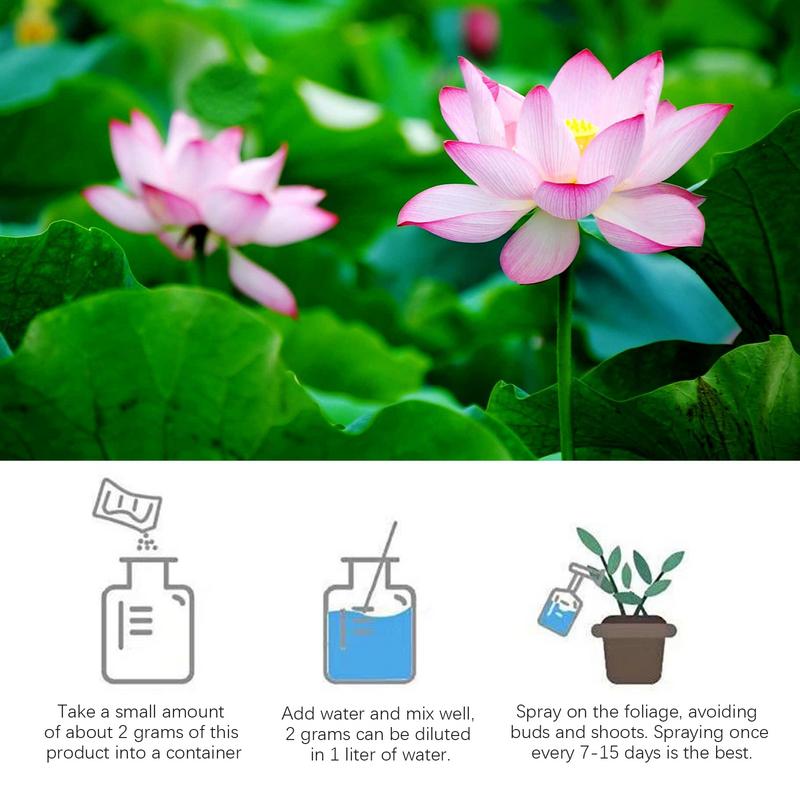 200g Natural Water Lily Flower - Aquarium Plant Nutrients review and price