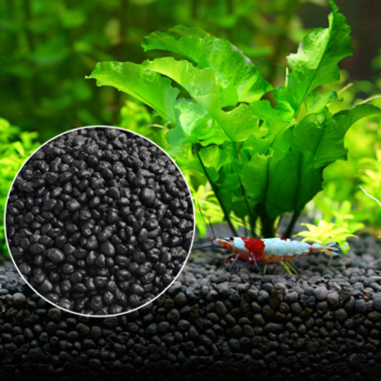 Aquarium Plant Seeds Soil Fish - Aquarium Plant Growth review and price