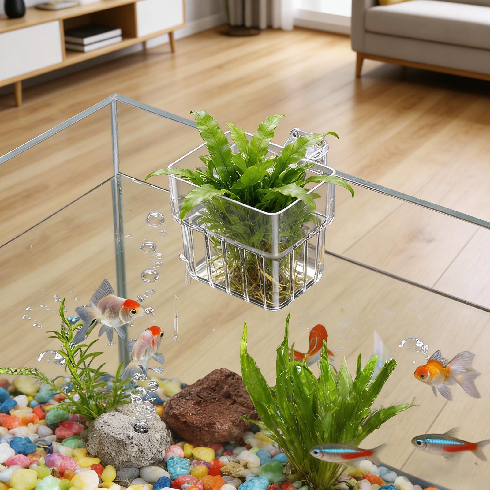 Aquarium Transparent Hanger Po - Aquarium Plant Growth review and price