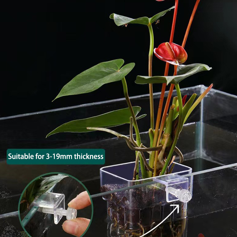 Multifunctional Fish Aquarium  - Aquarium Planted Tank review and price