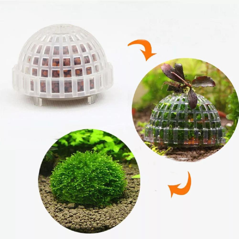 1pc Aquatic Pet Supplies Decor - Planted Aquarium Maintenance review and price