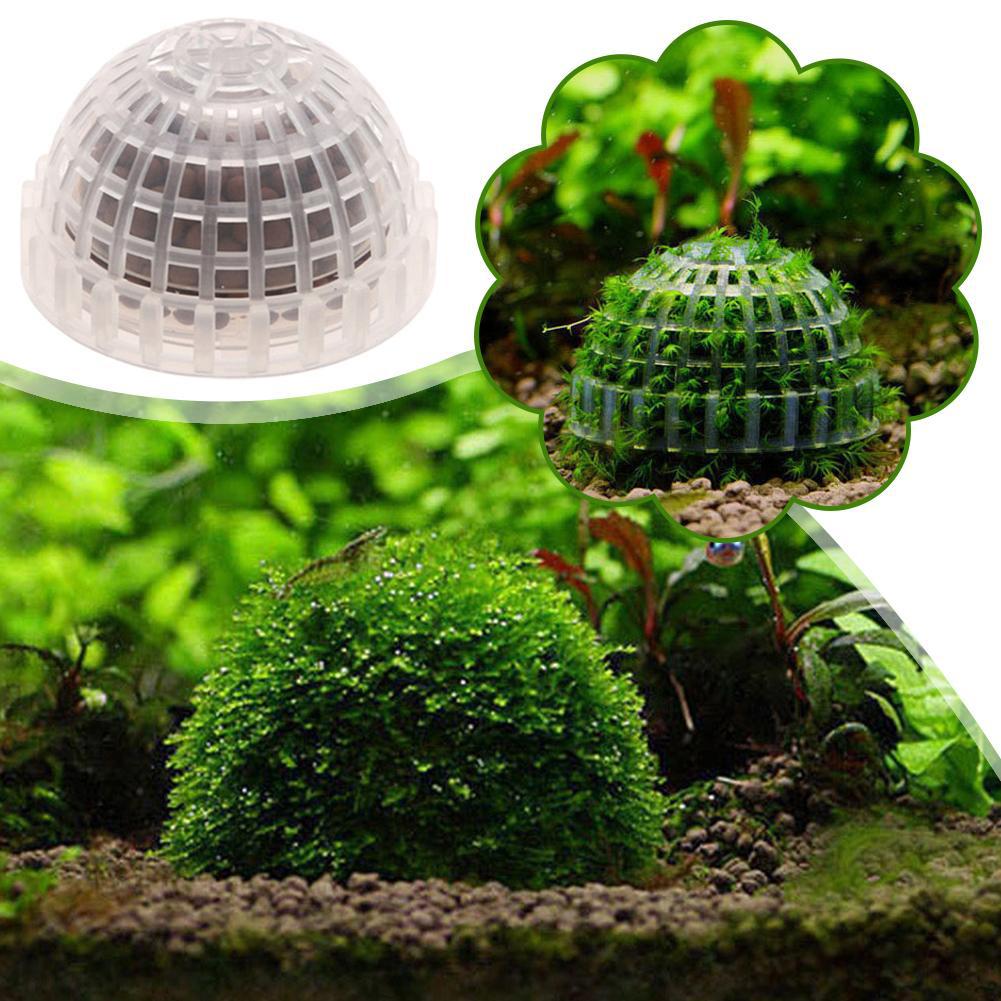 1pc Aquatic Pet Supplies Decor - Planted Aquarium Maintenance review and price