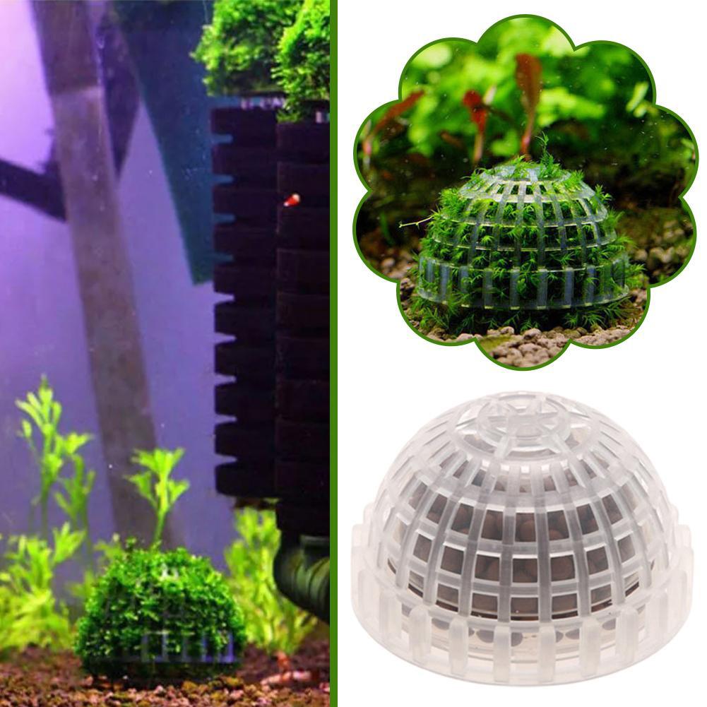 1pc Aquatic Pet Supplies Decor - Planted Aquarium Maintenance review and price