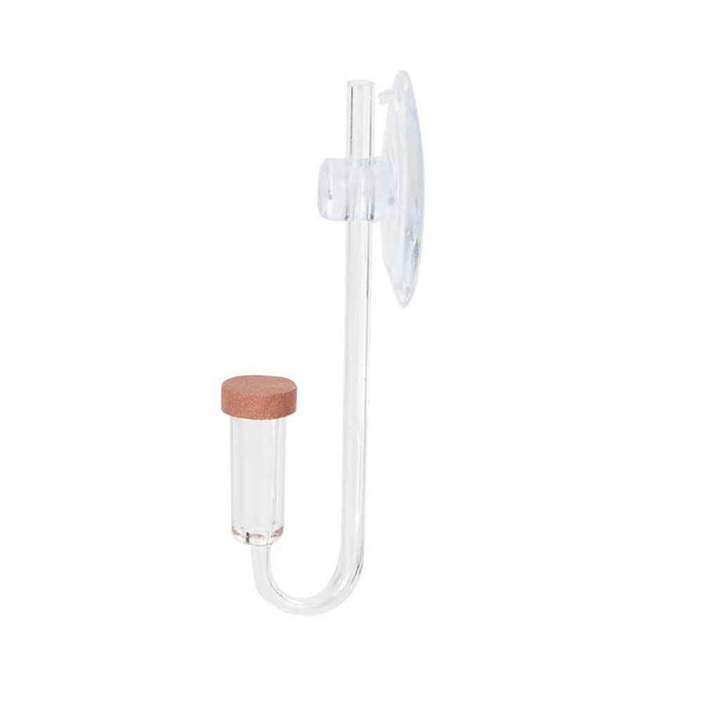 Acrylic Mini Fish Tank Live Pl - Planted Aquarium Maintenance review and price