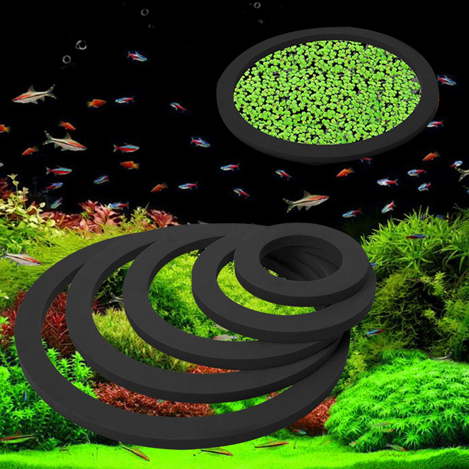 Aquarium Floating Plant Ring E - Aquarium Plant Nutrients review and price