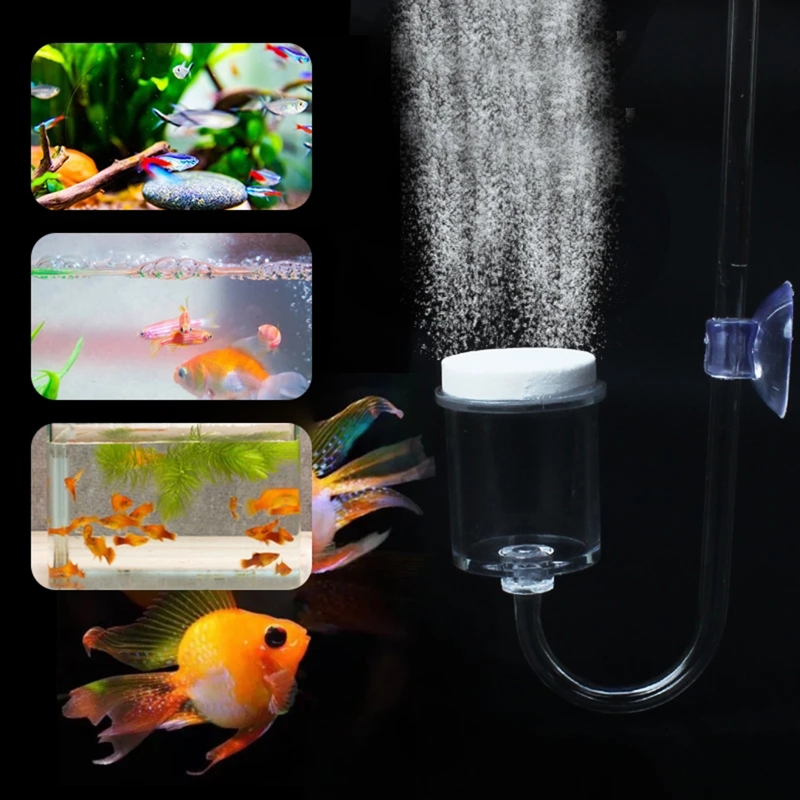 4pcs Set DIY CO2 Diffuser For  - Planted Aquarium Maintenance review and price